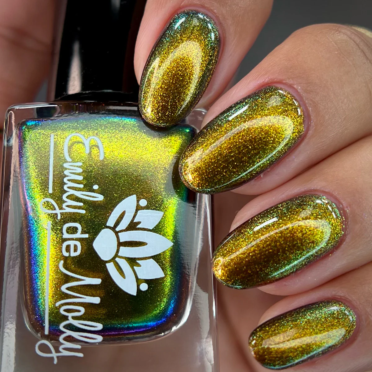 Thumbnail 13