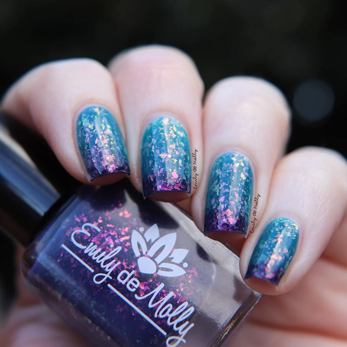 Thumbnail 11