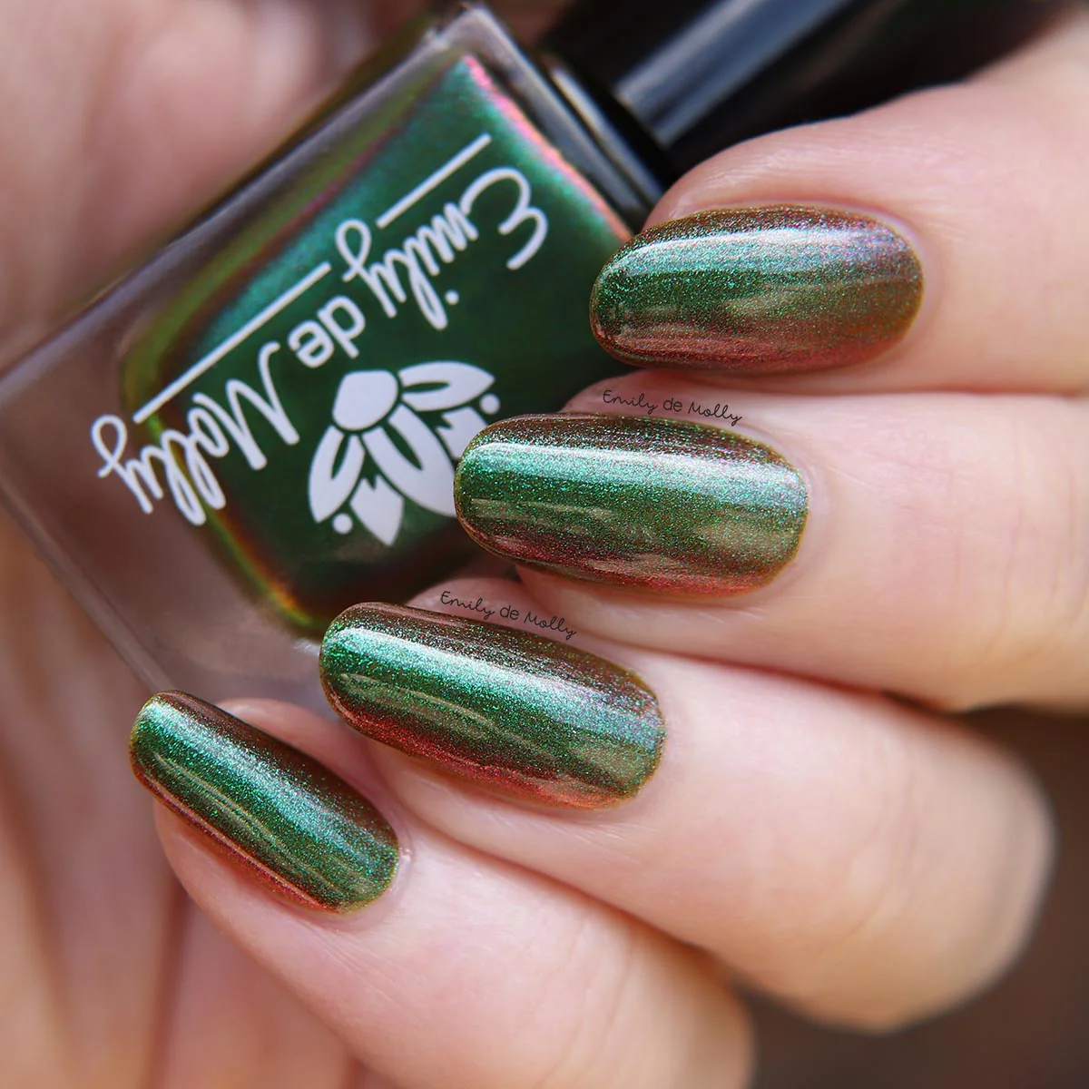 Thumbnail 11