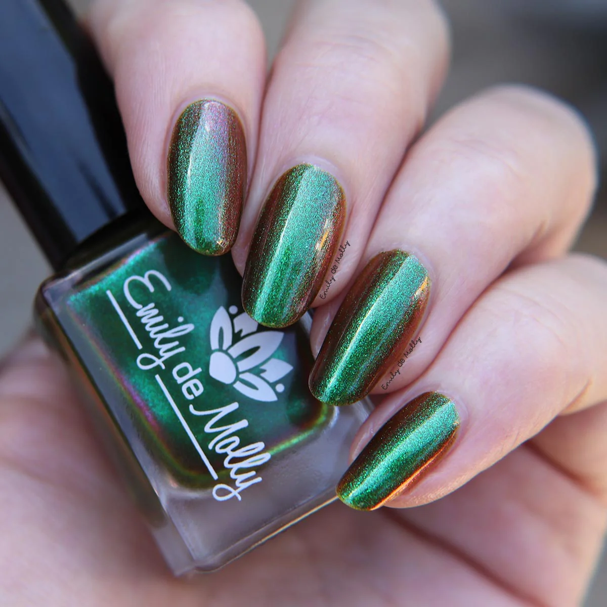 Thumbnail 12