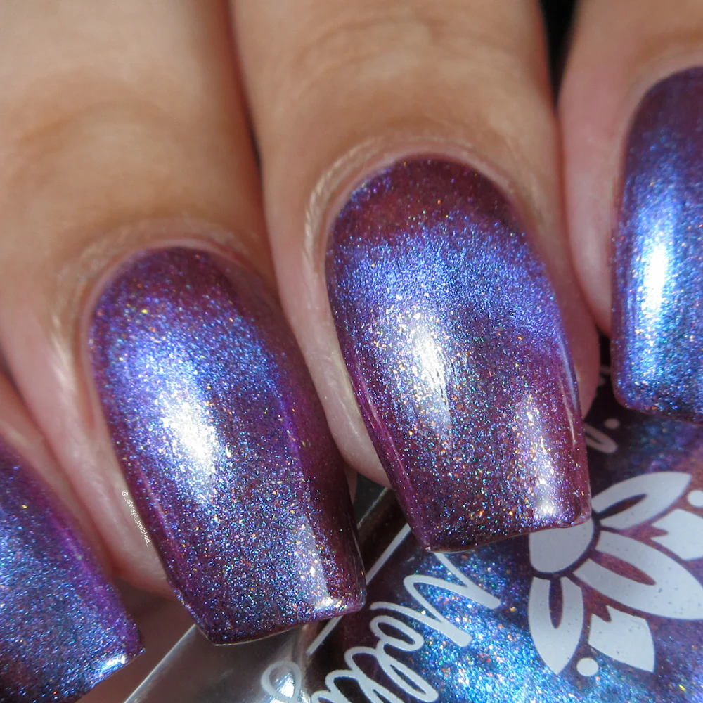 Thumbnail 14