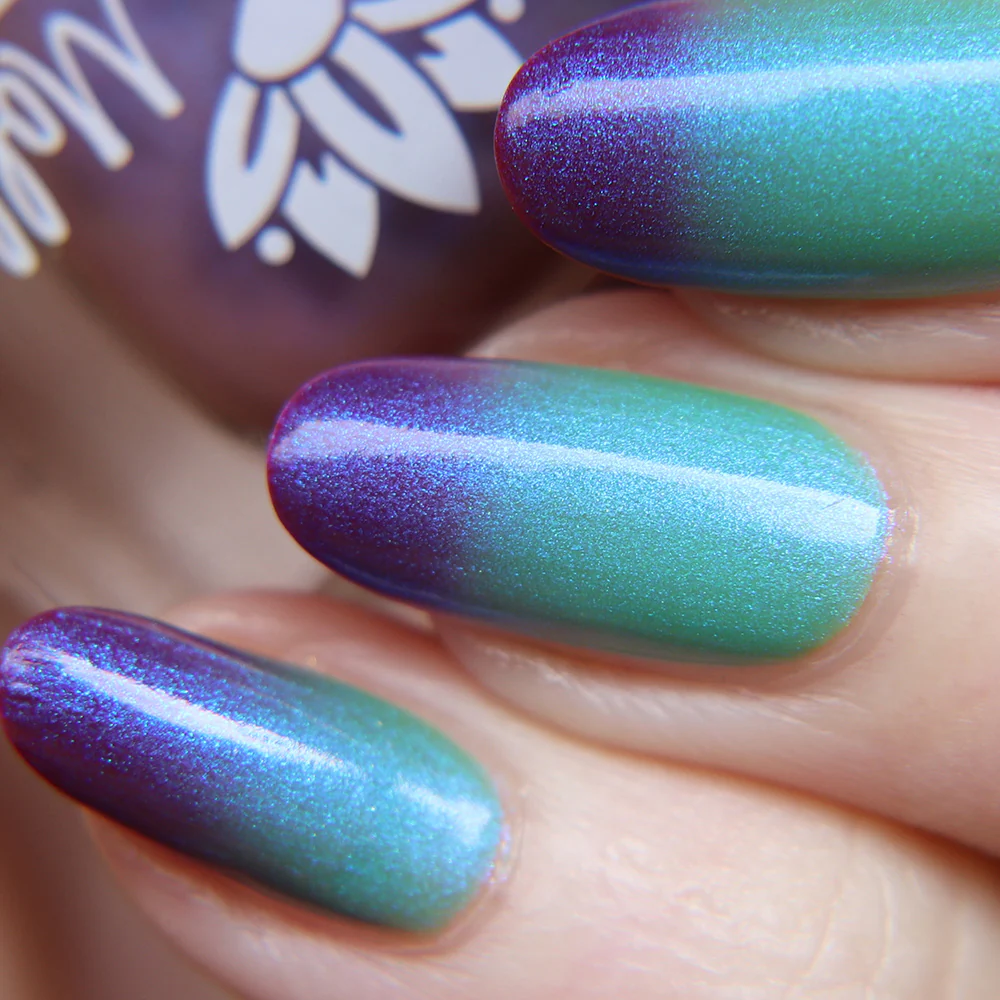 Thumbnail 11