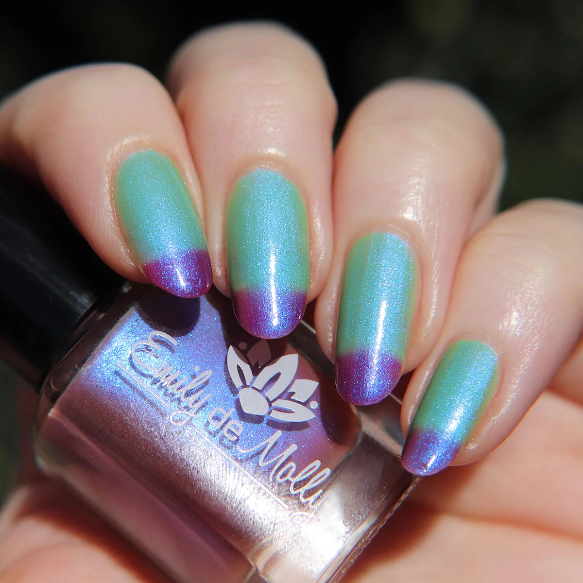 Thumbnail 12