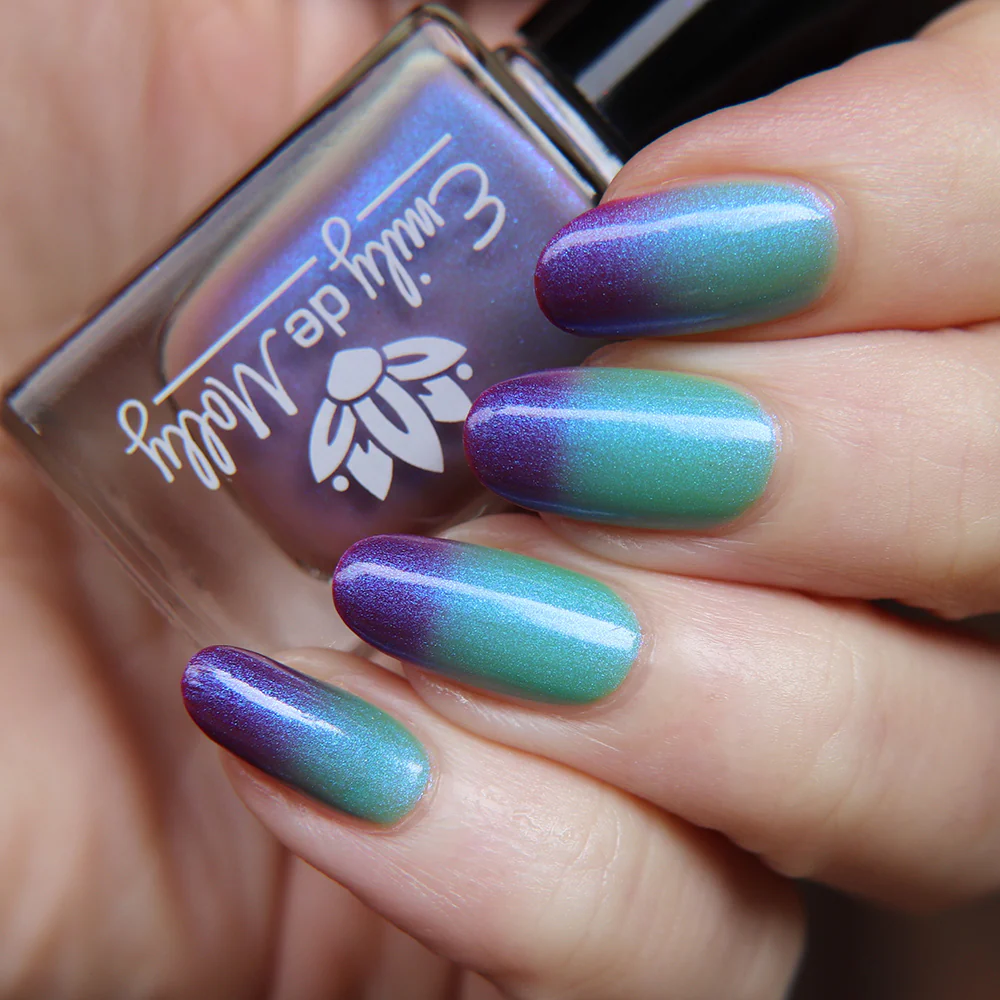 Thumbnail 13