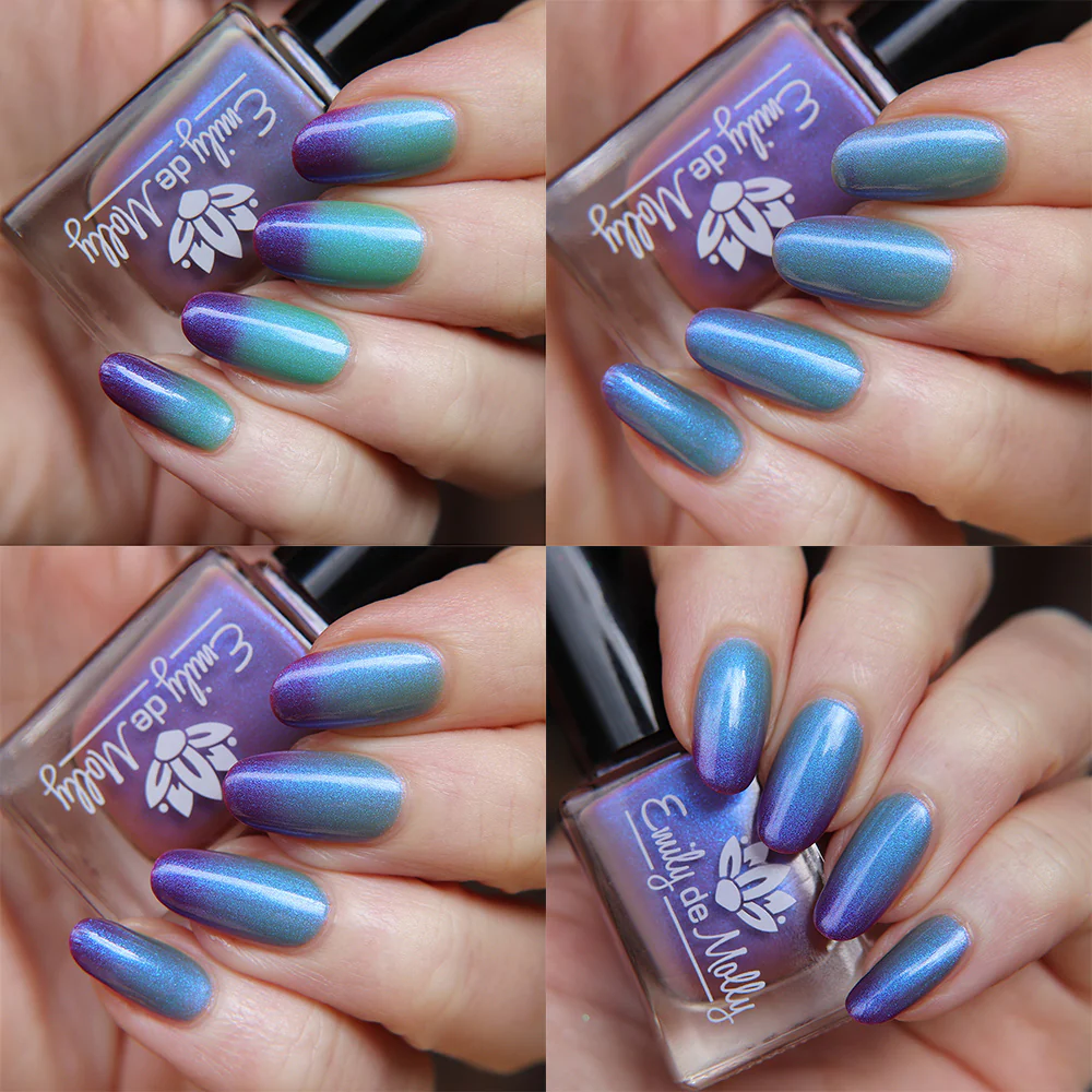 Thumbnail 14