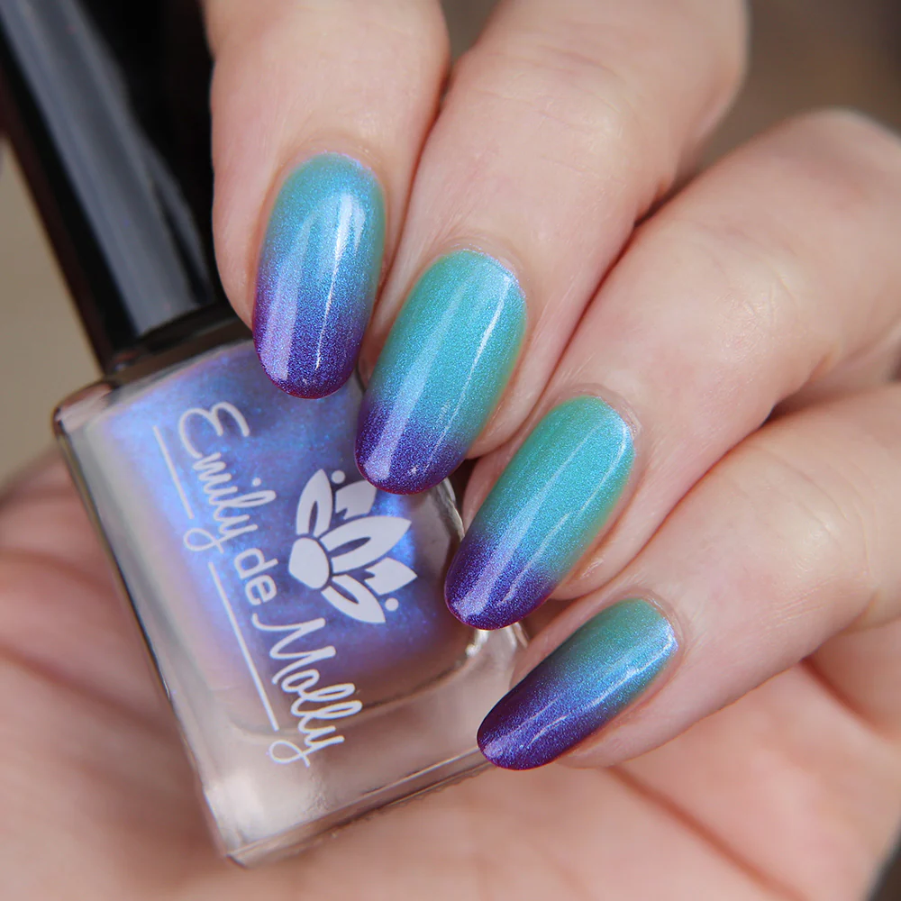 Thumbnail 16