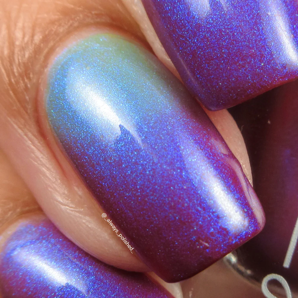 Thumbnail 26