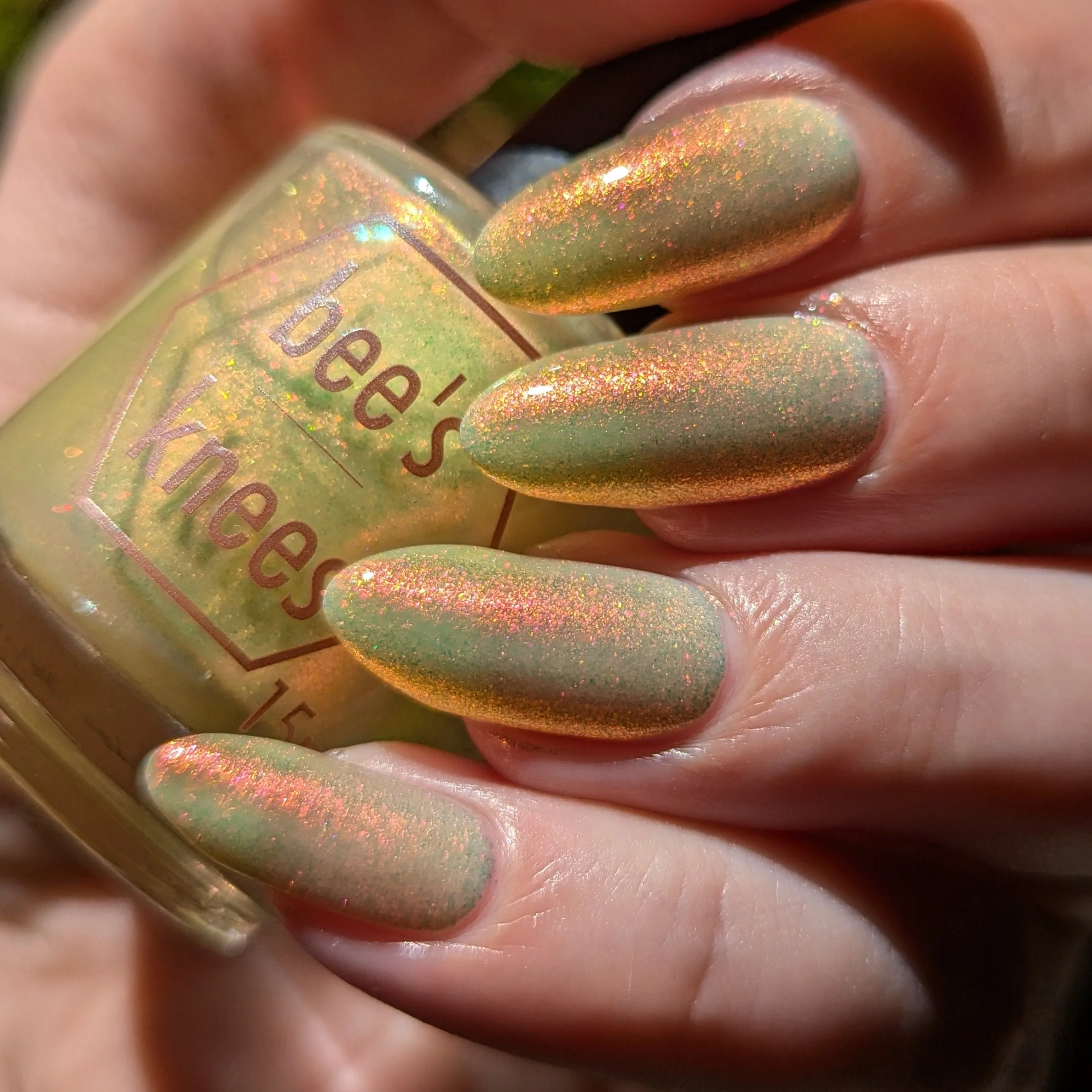 Thumbnail 13