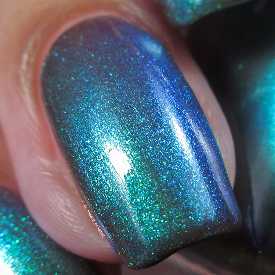 Thumbnail 13