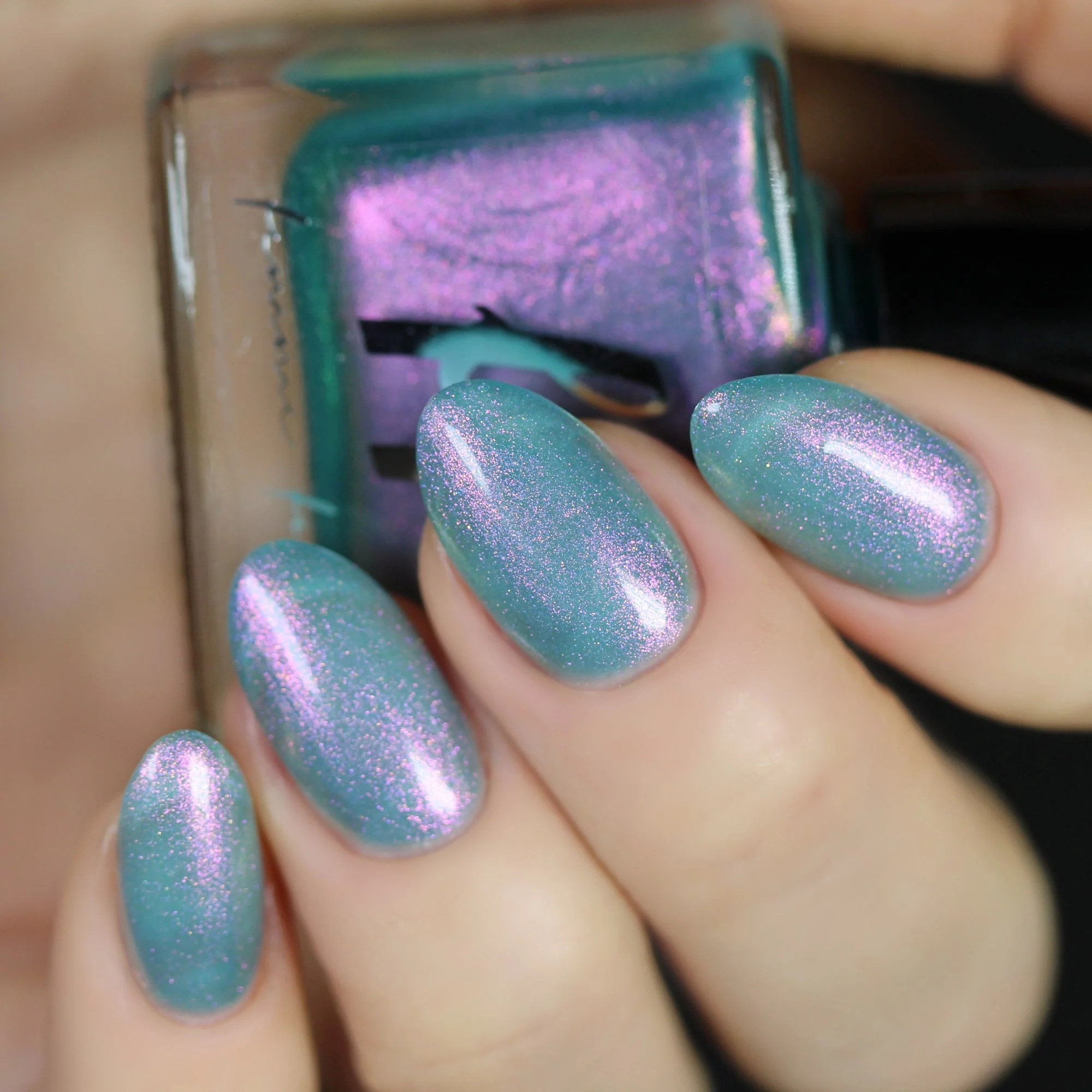 Thumbnail 17