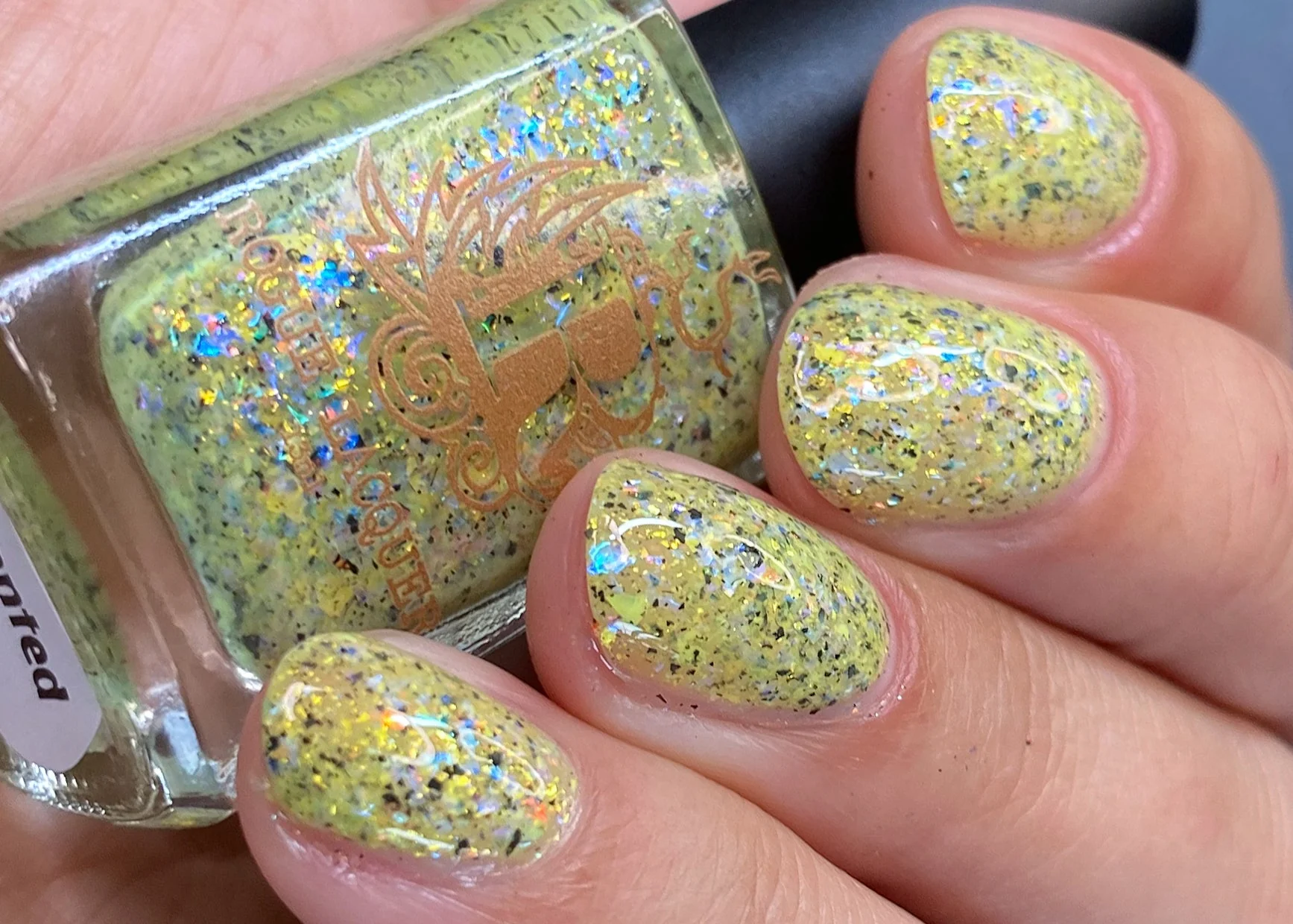Thumbnail 13