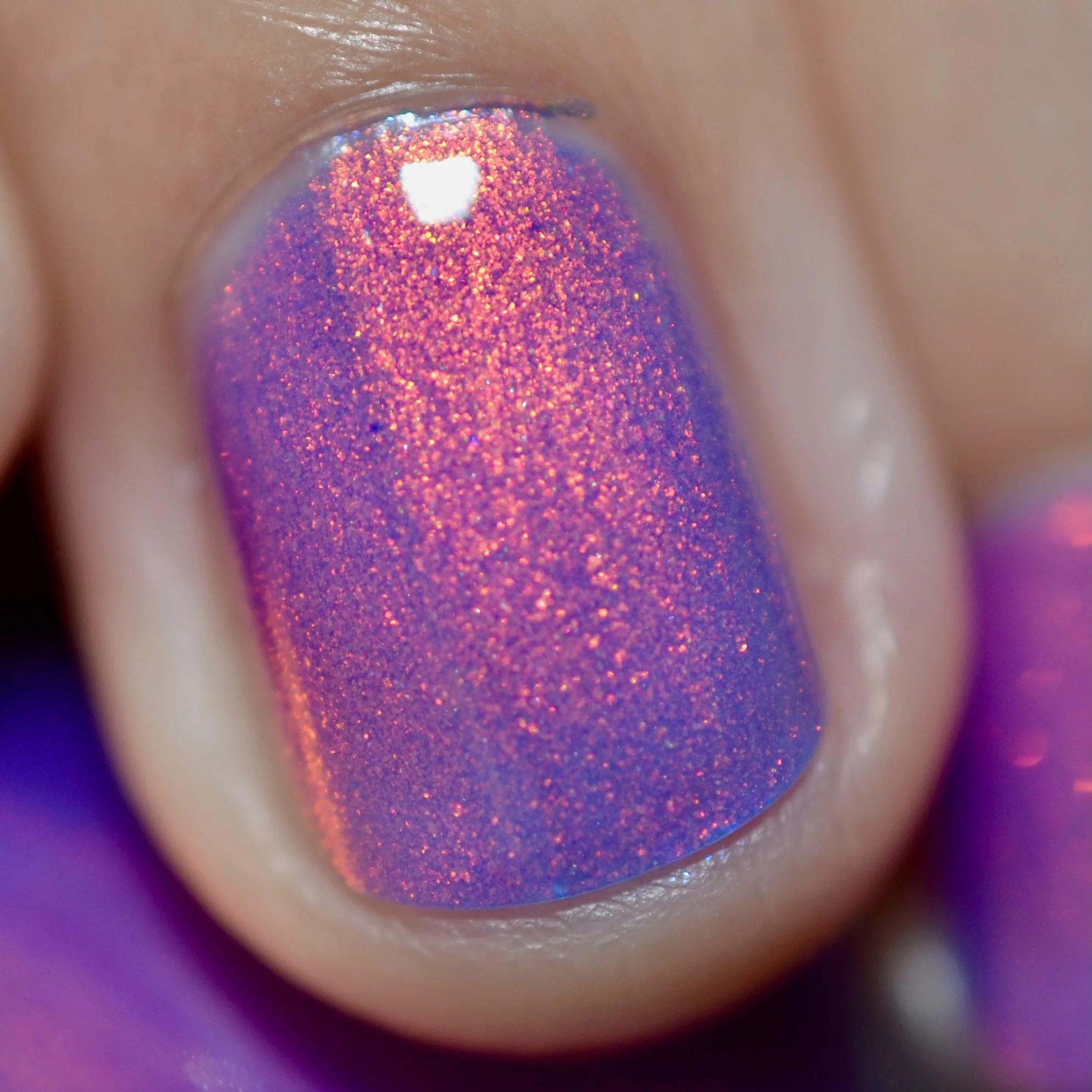 Thumbnail 24