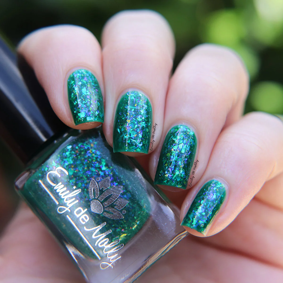 Thumbnail 23