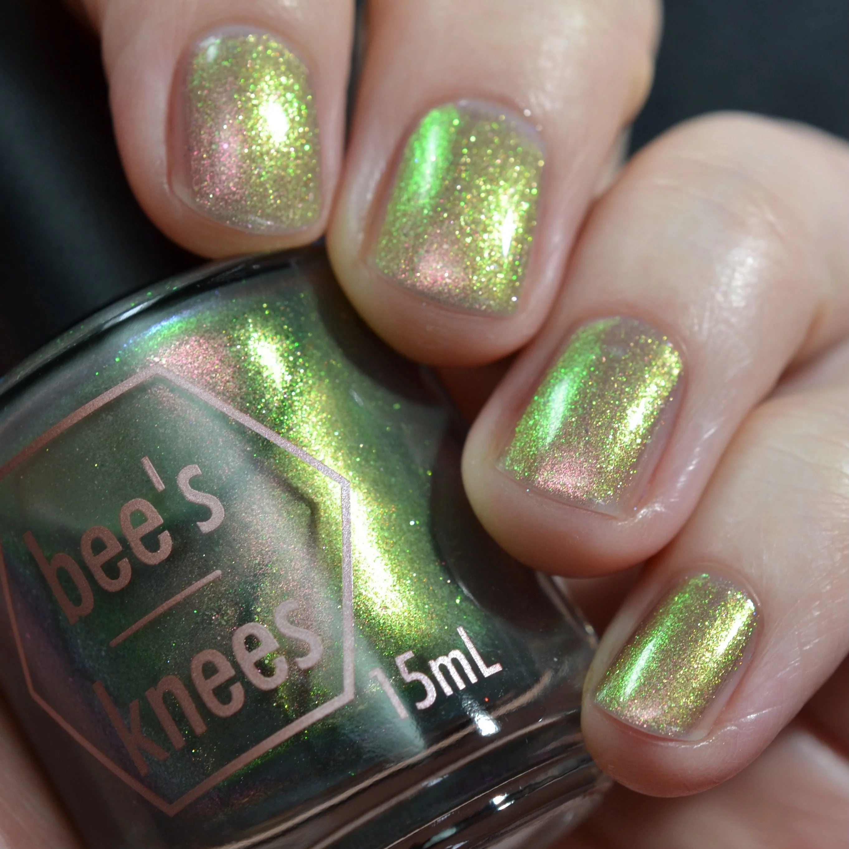 Thumbnail 12