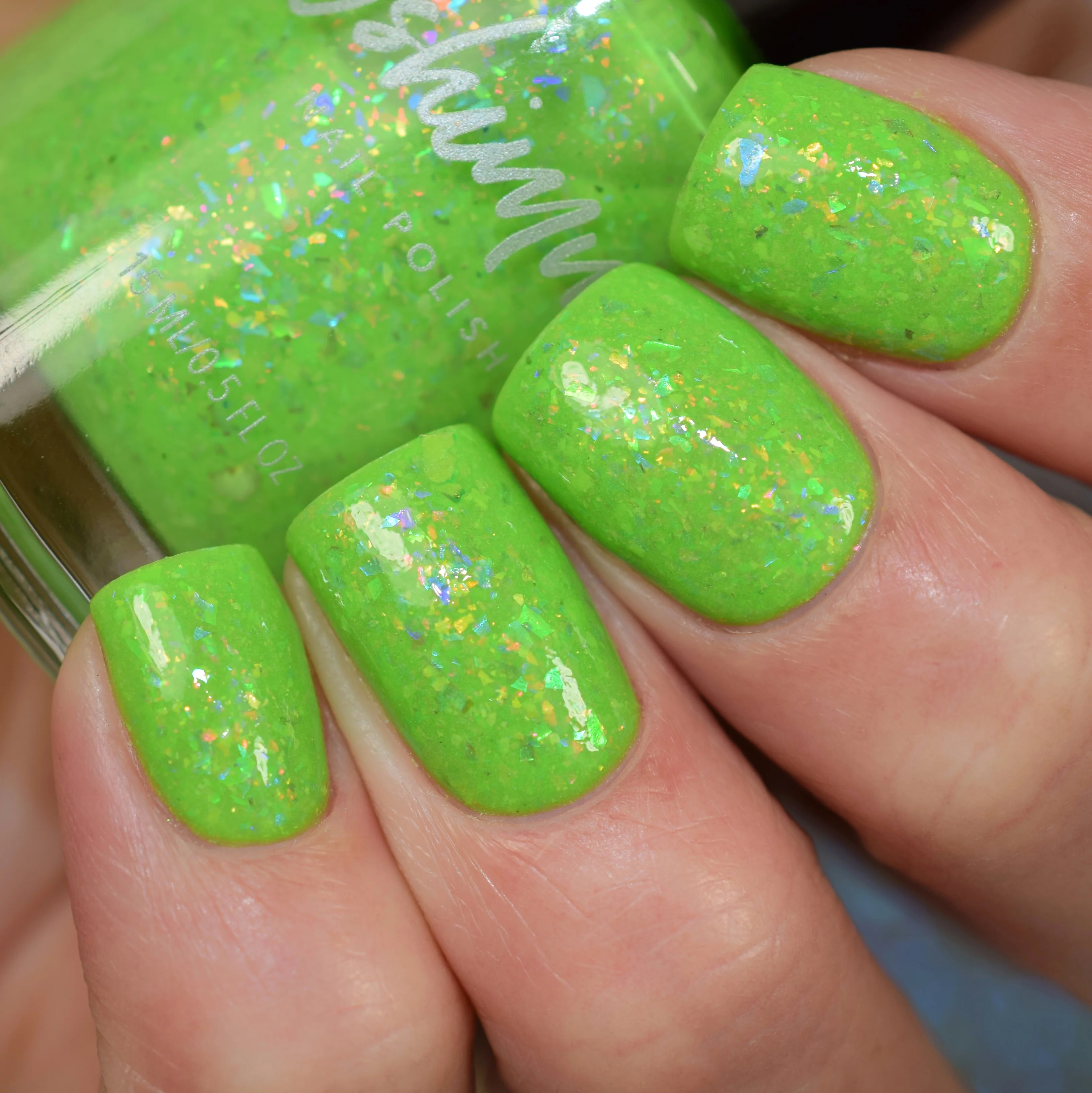 Thumbnail 15