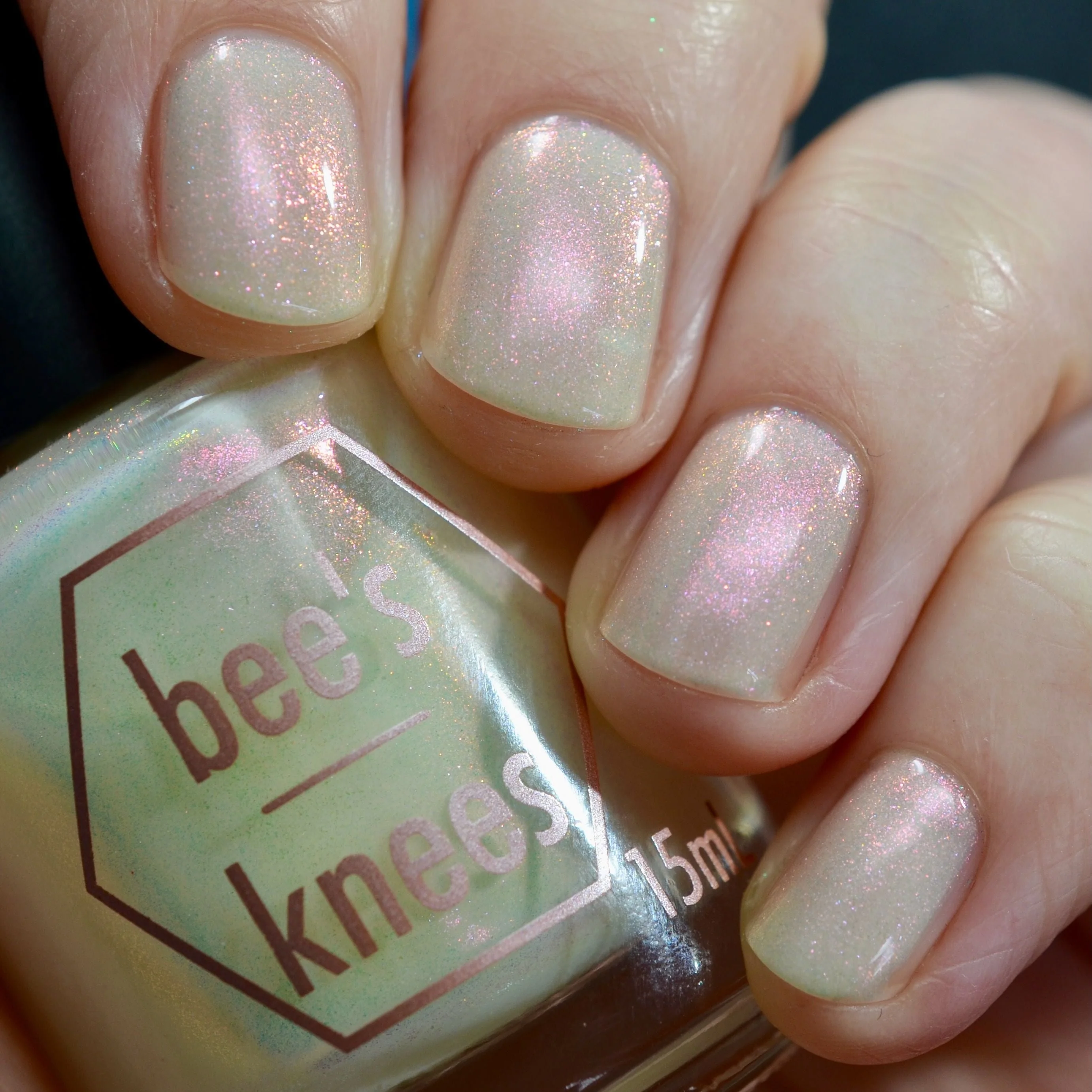 Thumbnail 13