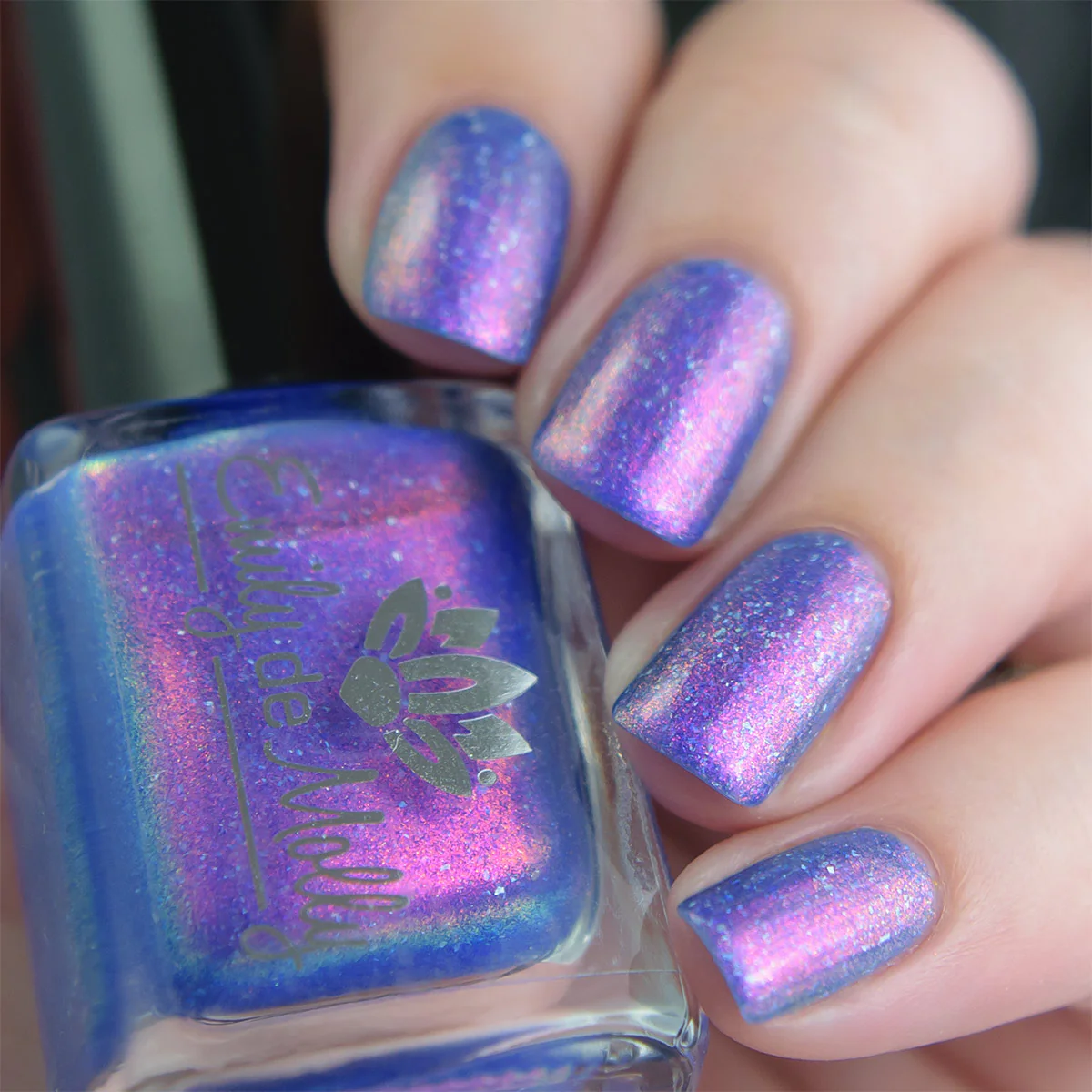 Thumbnail 12