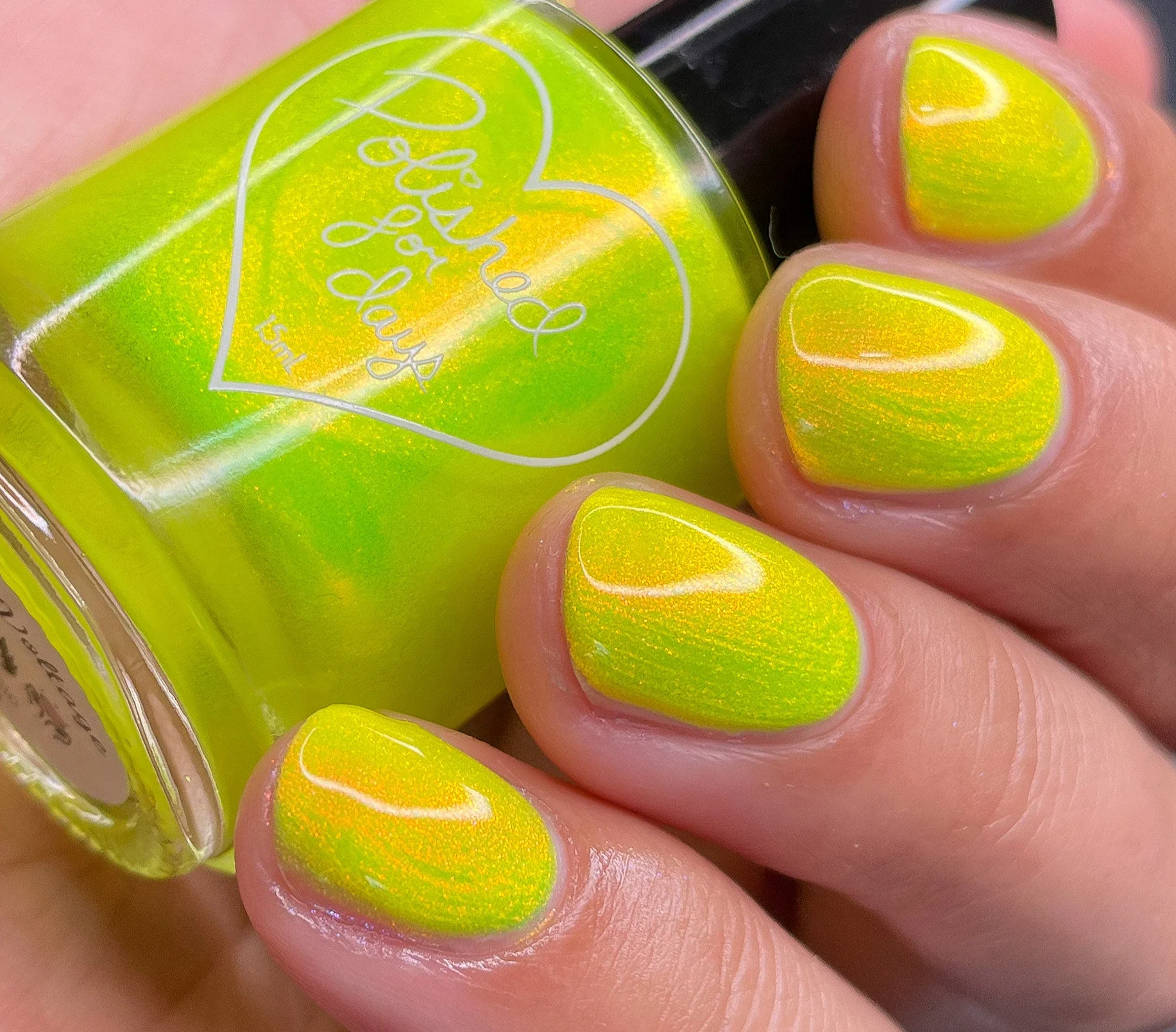 Thumbnail 13