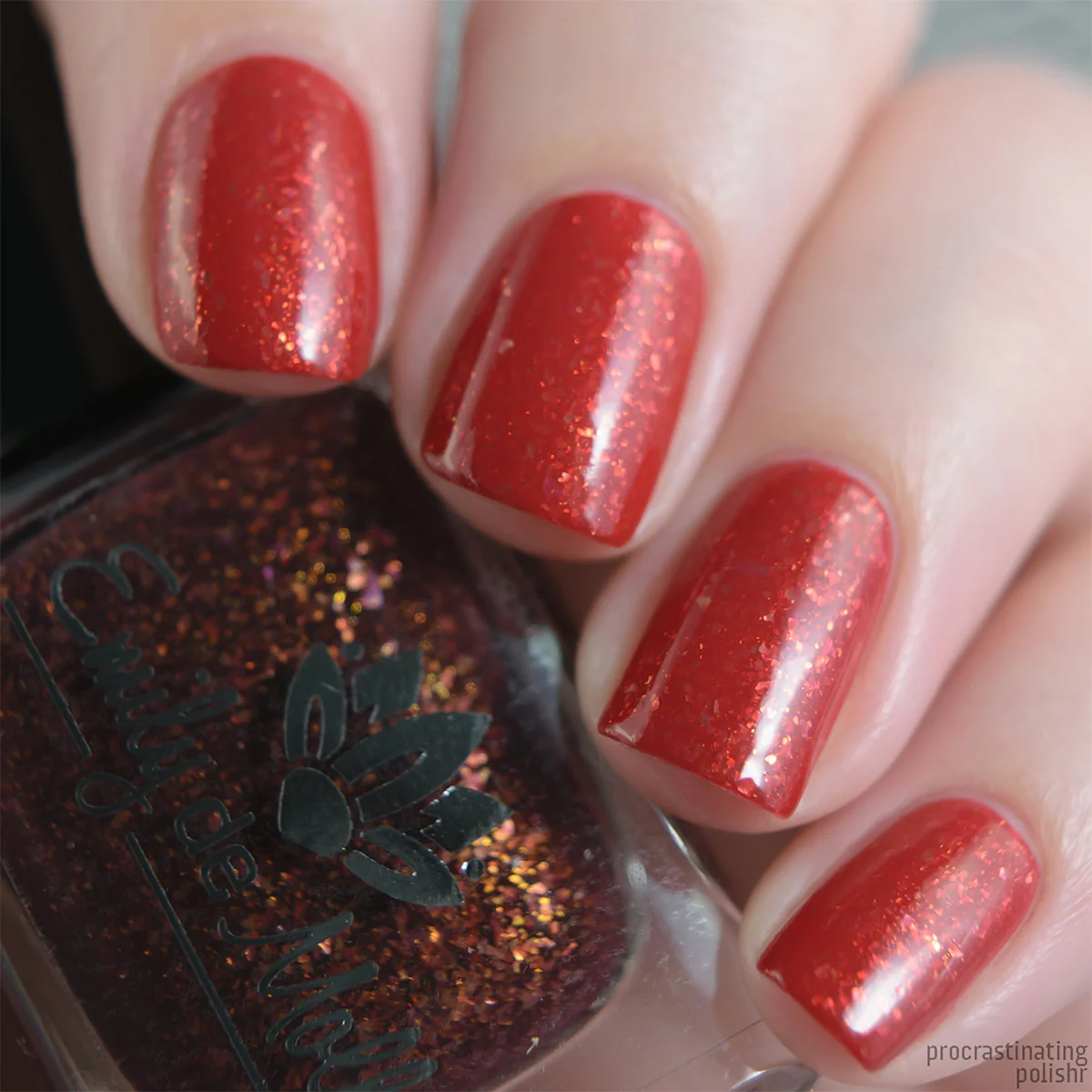 Thumbnail 12
