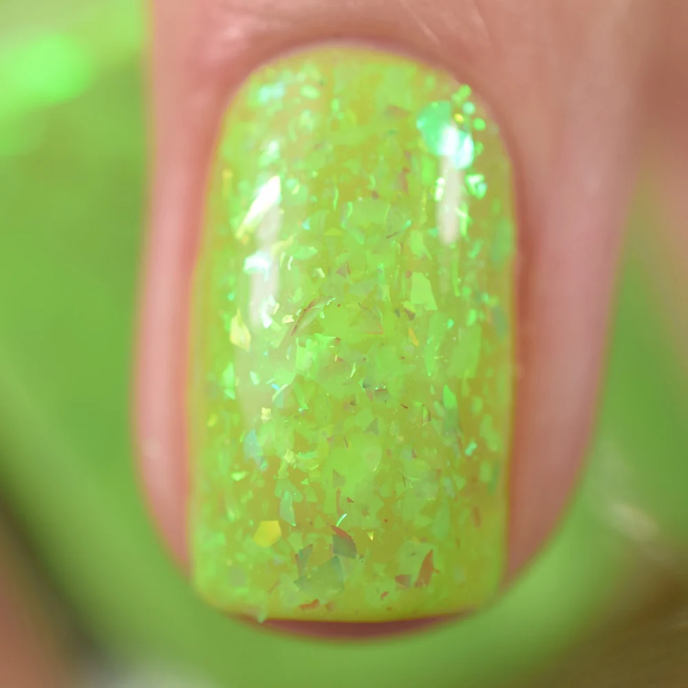 Thumbnail 15