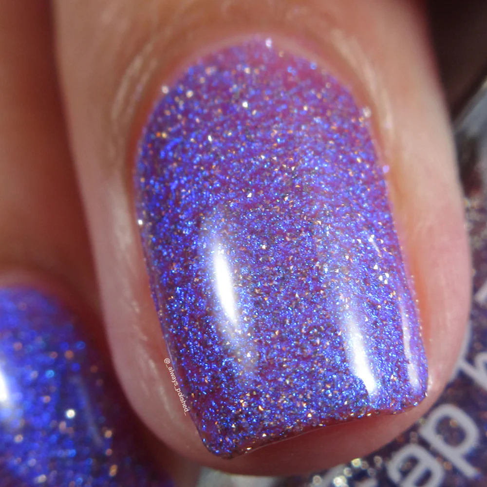 Thumbnail 15