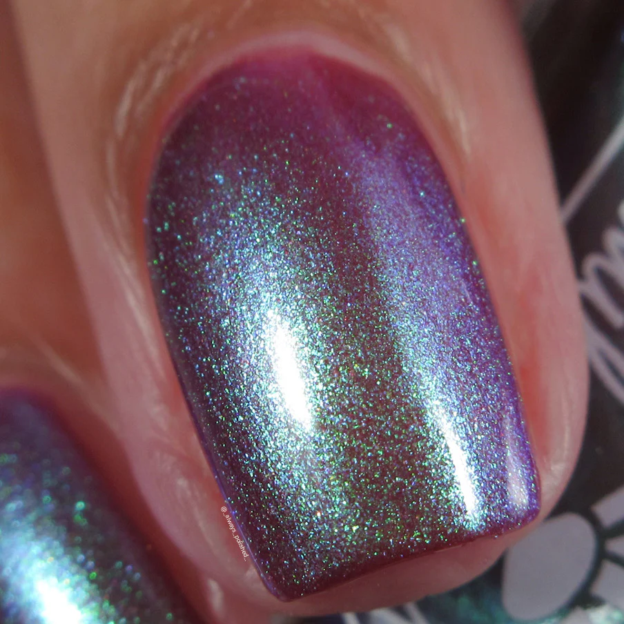 Thumbnail 11
