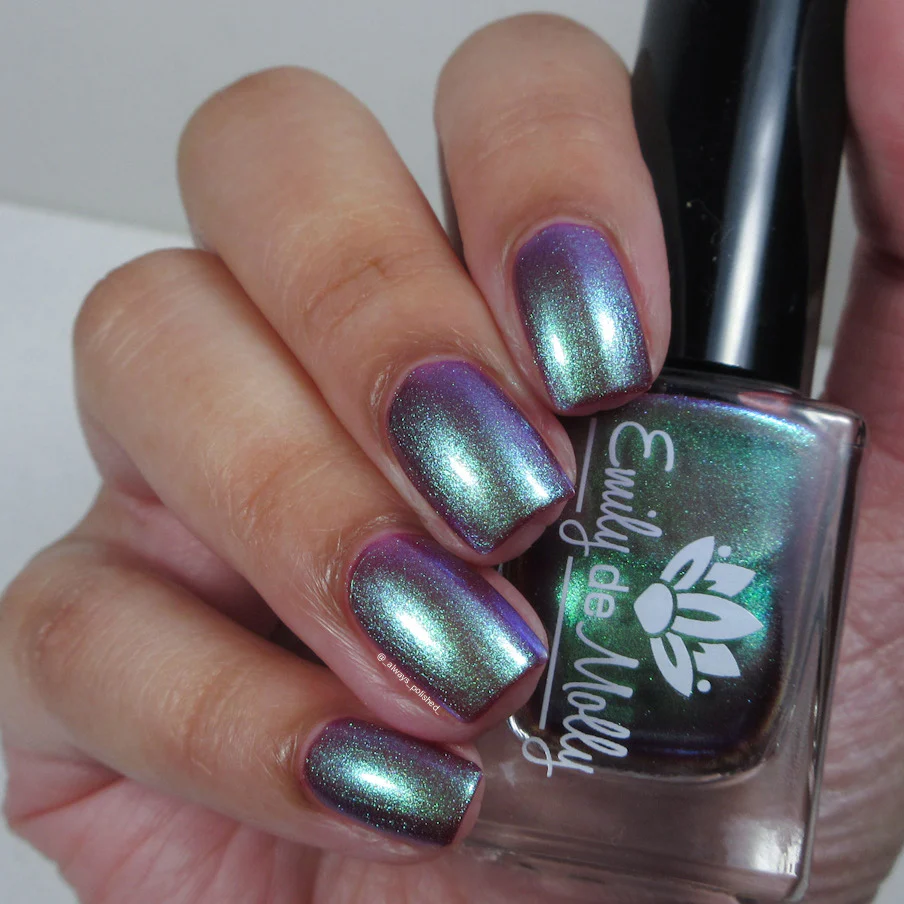 Thumbnail 16