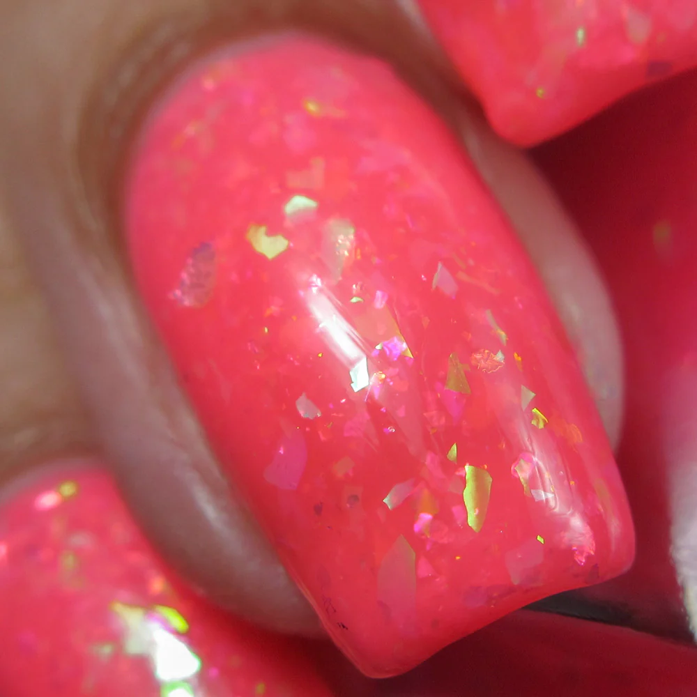 Thumbnail 13