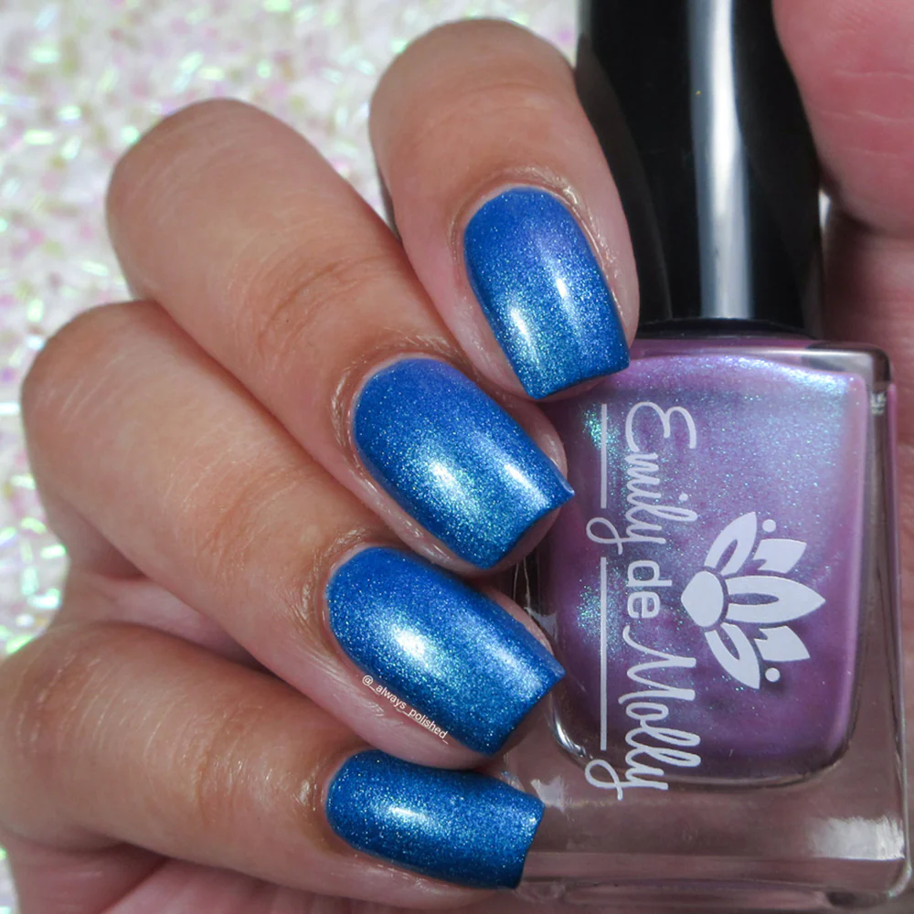 Thumbnail 12