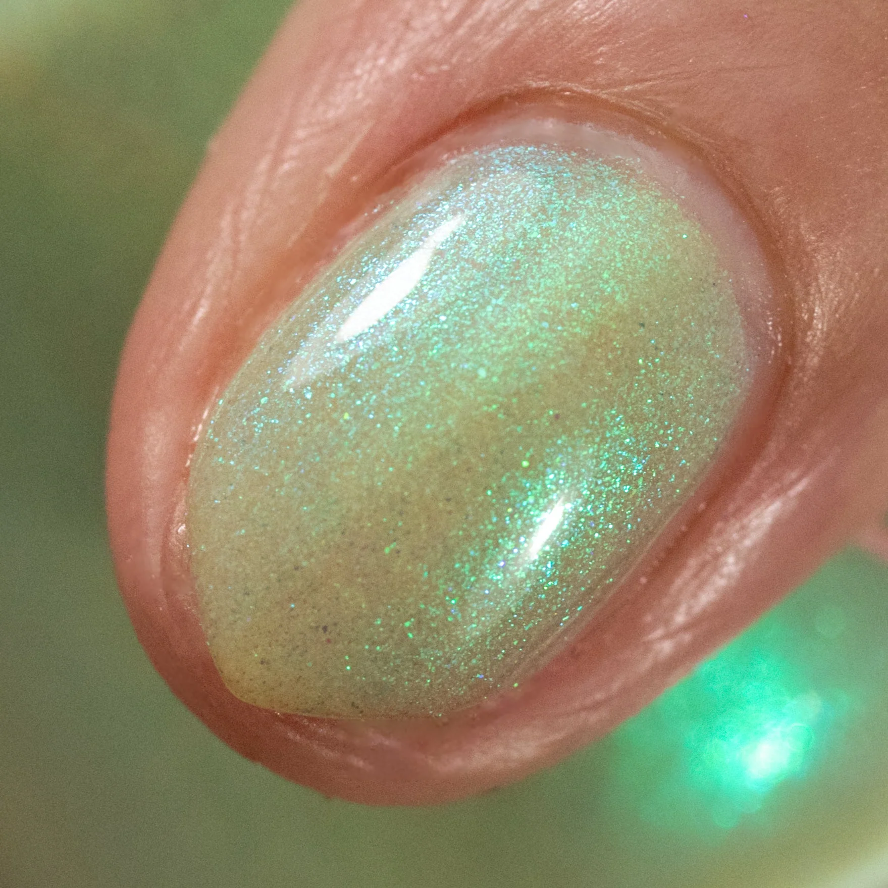 Thumbnail 11