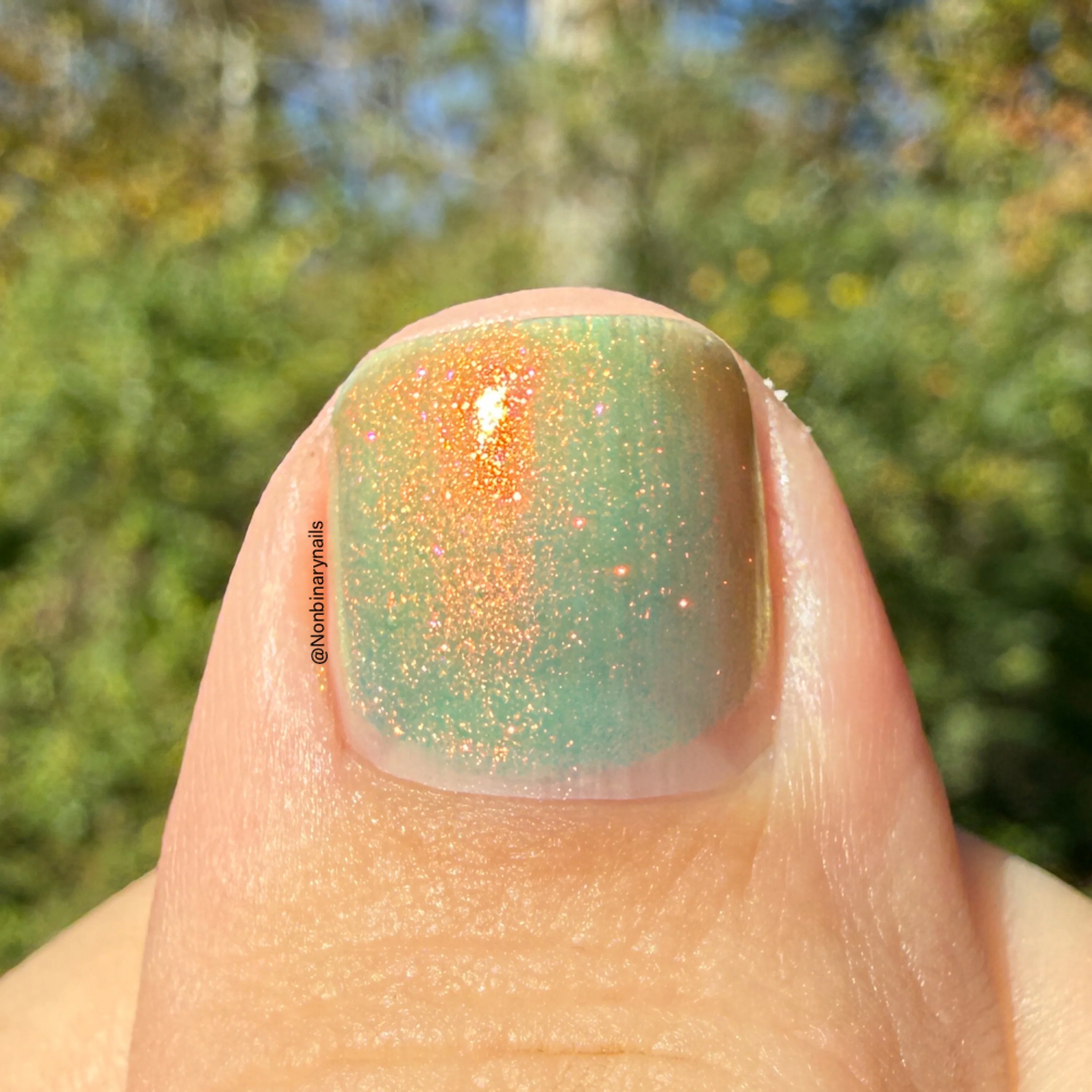 Thumbnail 14