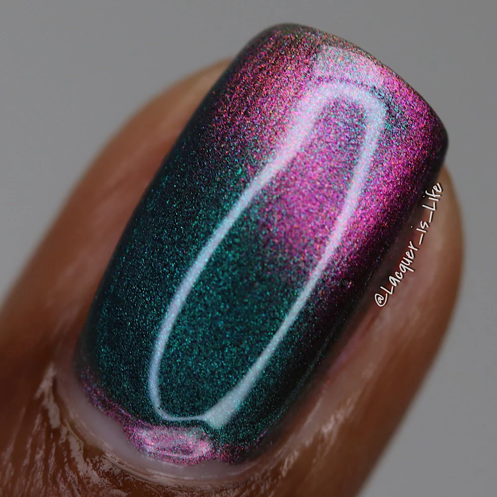 Thumbnail 12
