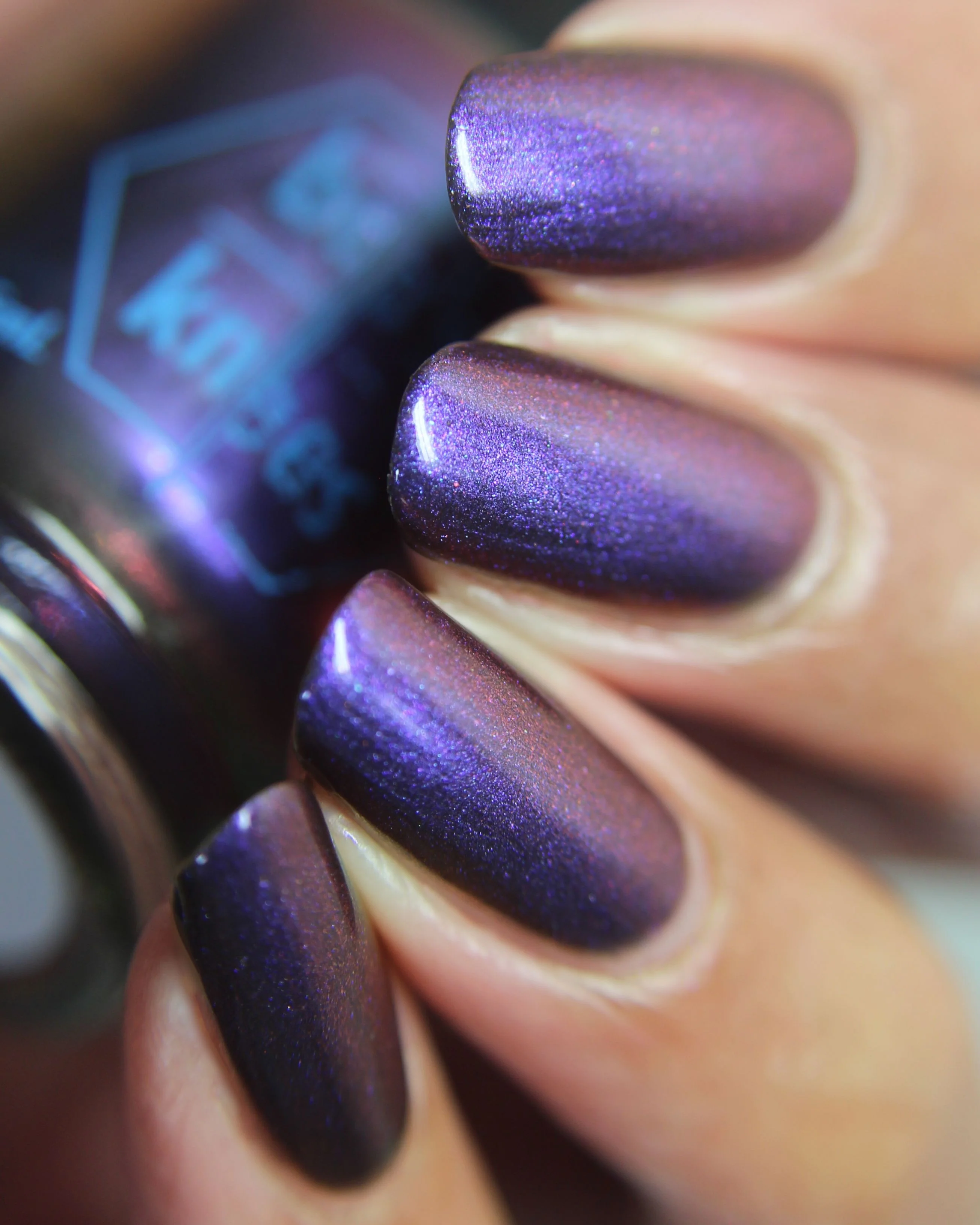 Thumbnail 17