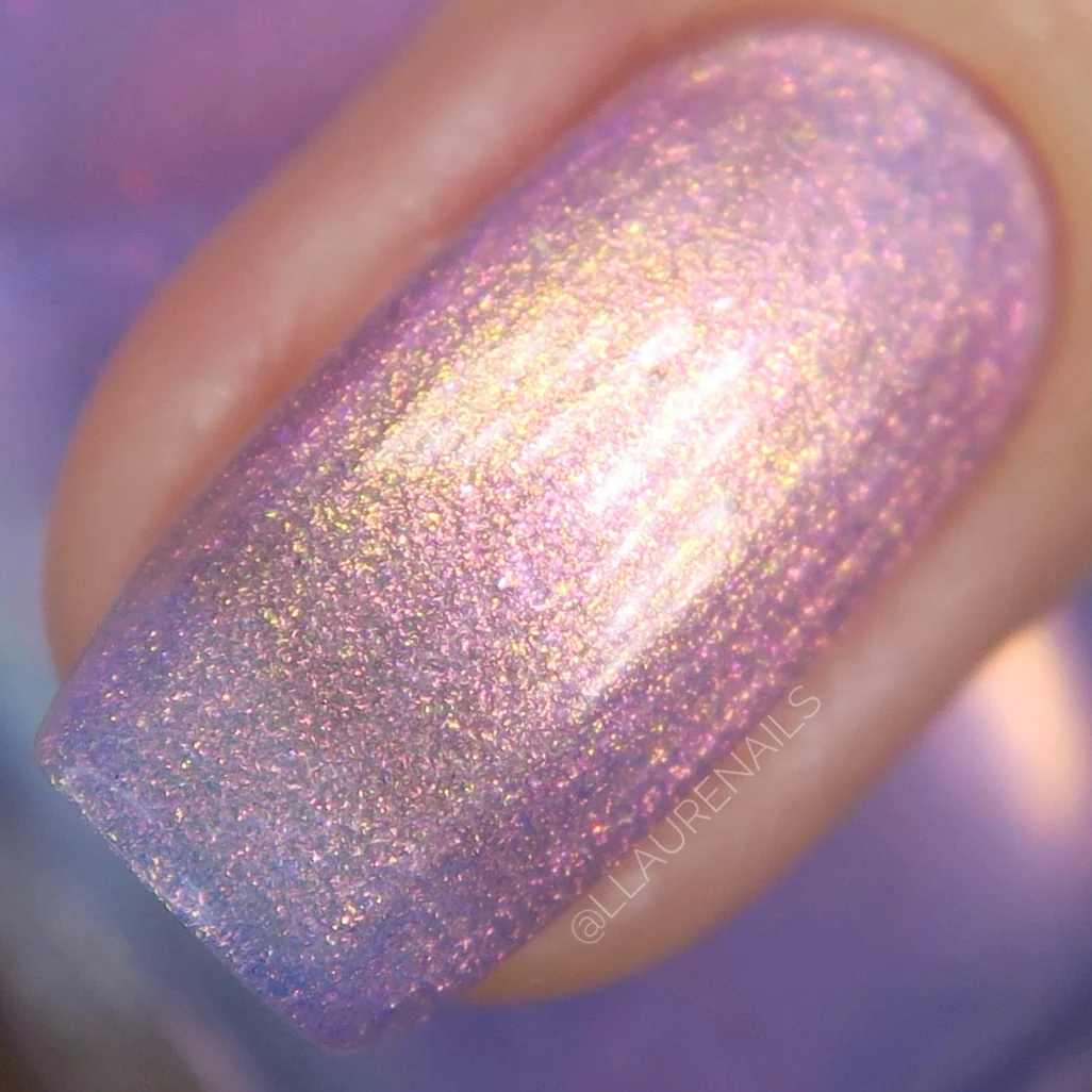 Thumbnail 19