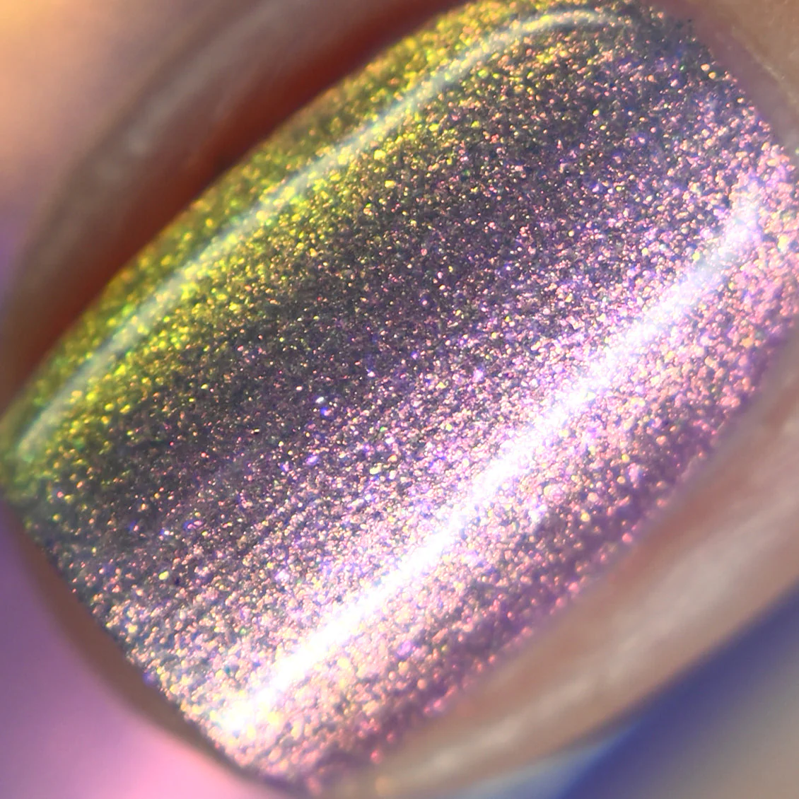 Thumbnail 23