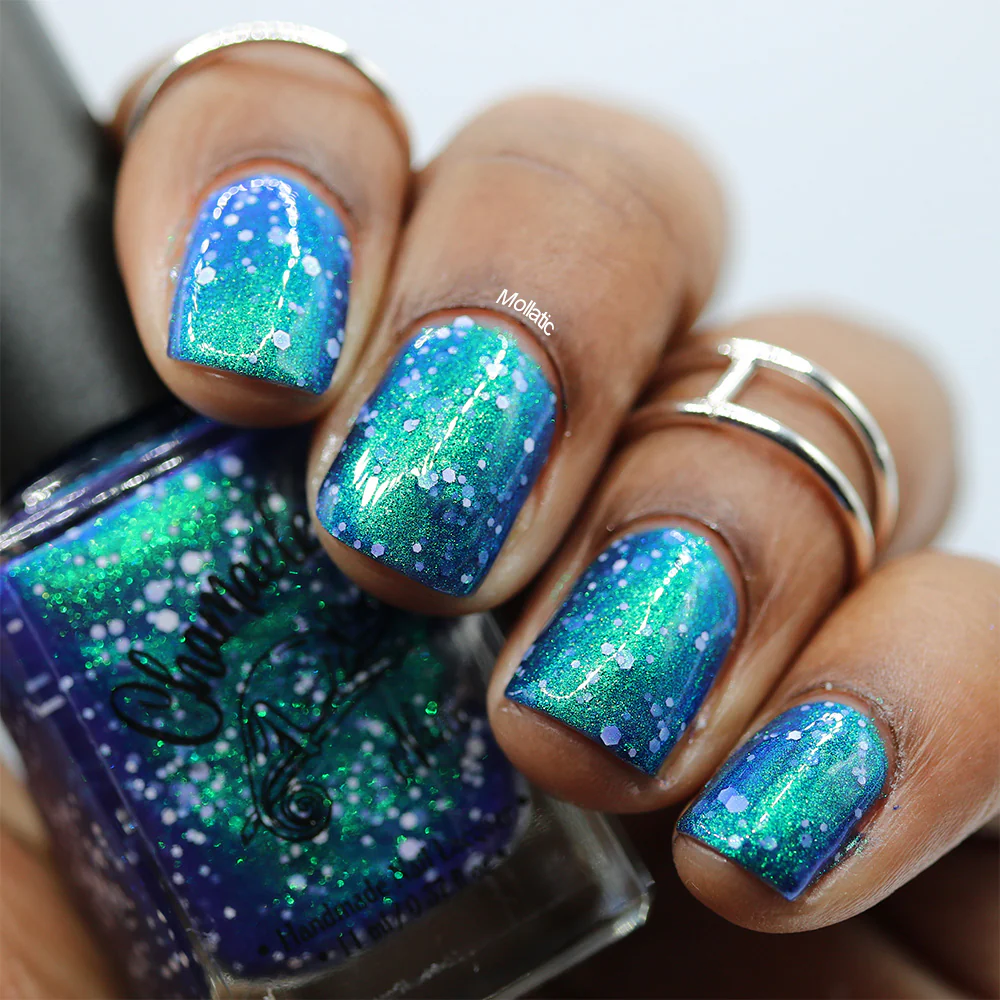 Thumbnail 12