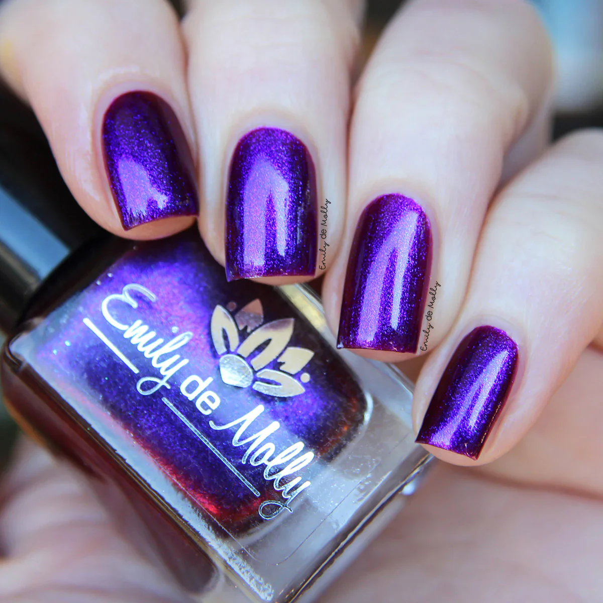 Thumbnail 11