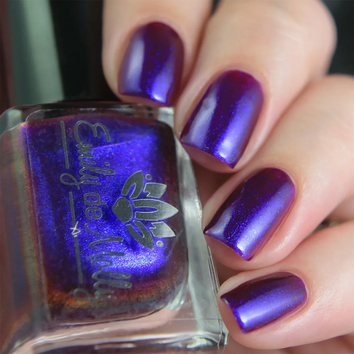 Thumbnail 12